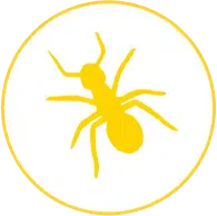 disinfestazioni
