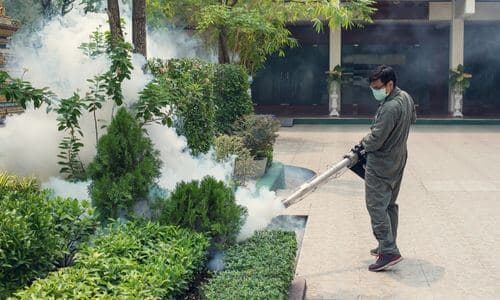 La nostra ditta di Disinfestazioni Udine mette in atto azioni mirate contro le infestazioni di zanzare