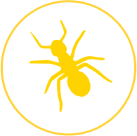 disinfestazioni