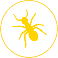 disinfestazioni